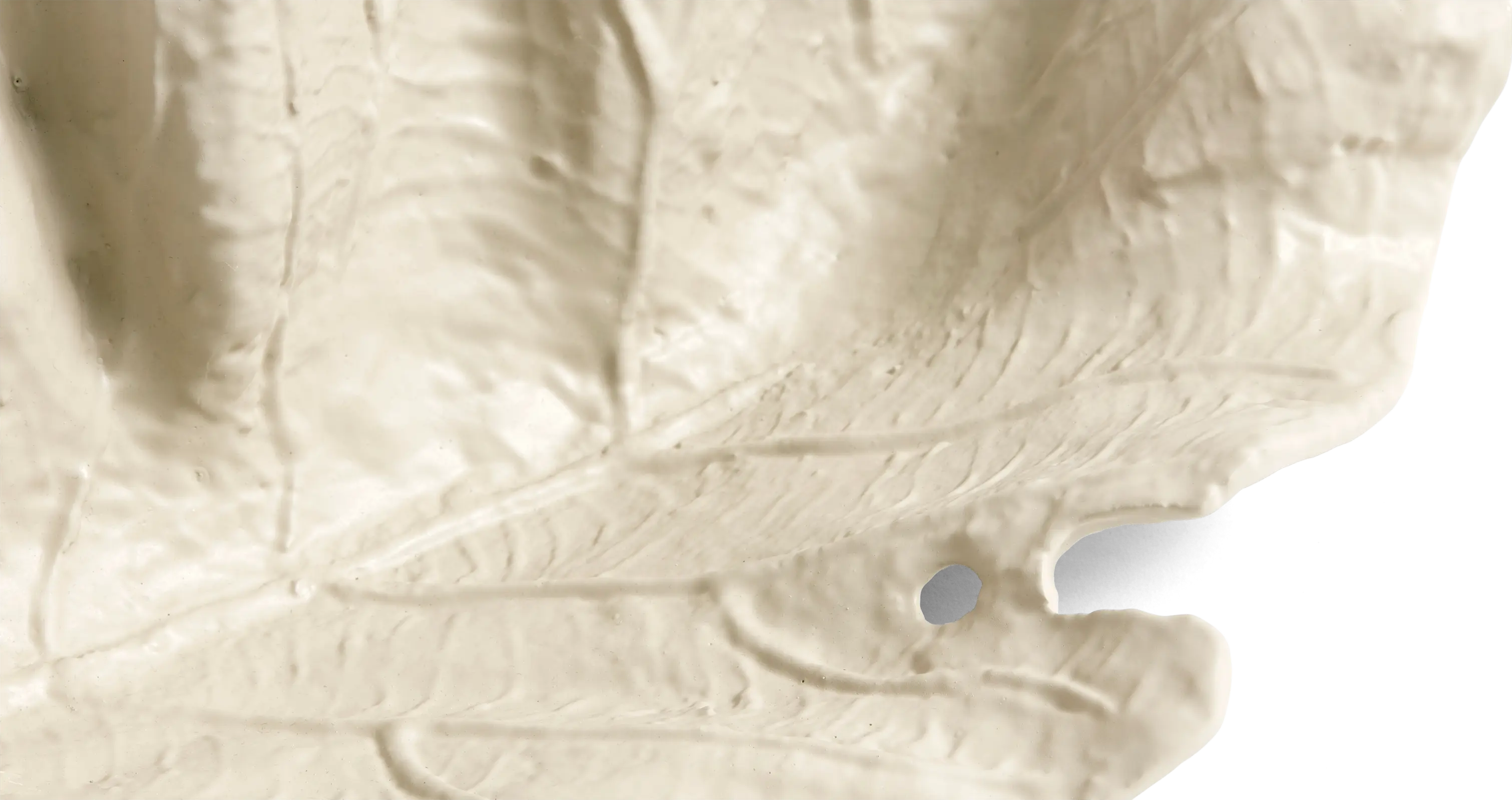 BoConsept mango Leaf Sculpture オブジェ 展示品 BoConsept mango BoConsept mango Leaf Sculpture オブジェ 展示品 BoConsept mango